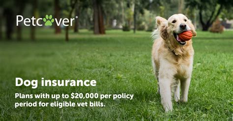 spotbet com|Dog Insurance Plans for Your Pet .